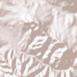 Comuna Bistriţa Bârgăului Terrain Map