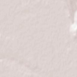 Păstrăveni Terrain Map