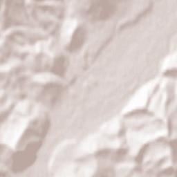 Viișoara Terrain Map