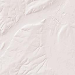 1122-1126 South Division Street, Ritzville Terrain Map