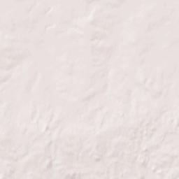 11900-13198 305th Avenue Northeast Terrain Map