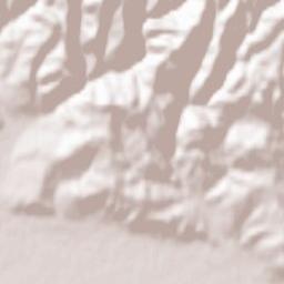 Oraș Aleşd Terrain Map