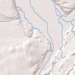 Orting Terrain Map