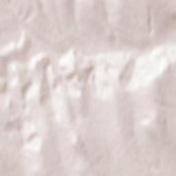 Ruginoasa Terrain Map