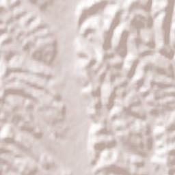 Pirching am Traubenberg Terrain Map