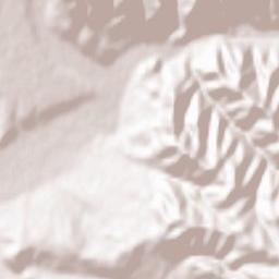 Deda Terrain Map