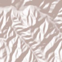 Iod Terrain Map