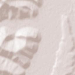 Răscruci Terrain Map