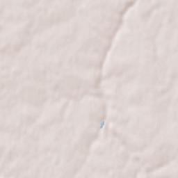 Chauché Terrain Map