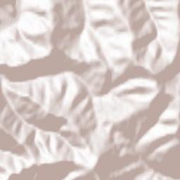 Bicazu Ardelean Terrain Map