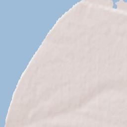 Shabel’skoye Terrain Map