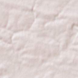 Mouchamps Terrain Map