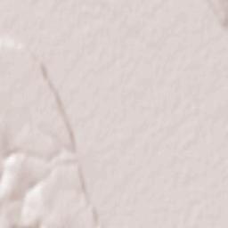 Podoleni Terrain Map