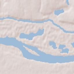Dnipryany Terrain Map