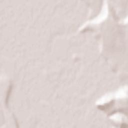 Comuna Negri Terrain Map