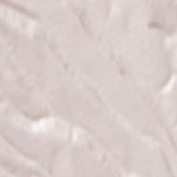 Valea Grecului Terrain Map