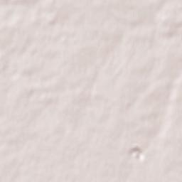 Les Clouzeaux Terrain Map