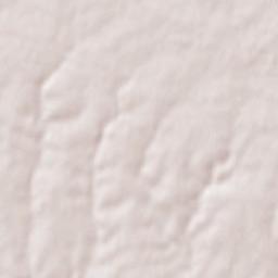 La Chaize-le-Vicomte Terrain Map