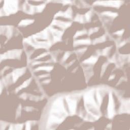 Valea Rece Terrain Map