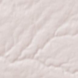 La Mothe-Achard Terrain Map