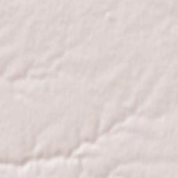 Nieul-le-Dolent Terrain Map