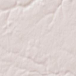 Latillé Terrain Map