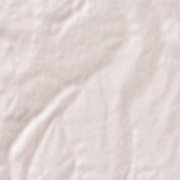 Neuvy-Saint-Sépulchre Terrain Map