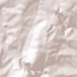 Petreştii de Jos Terrain Map