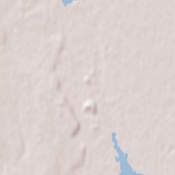 Letea Veche Terrain Map