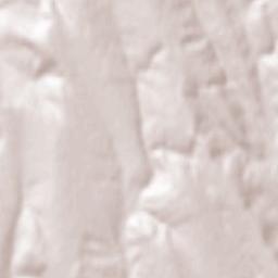 Albeşti Terrain Map