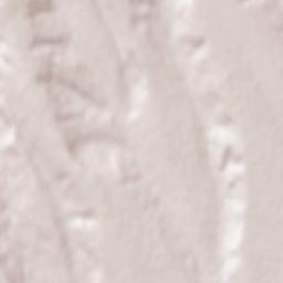 Comuna Hoceni Terrain Map