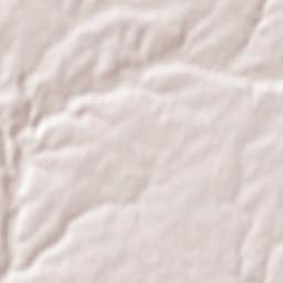 Champdeniers-Saint-Denis Terrain Map