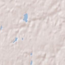 Saint-Trivier-de-Courtes Terrain Map