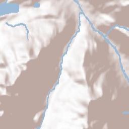 Pontresina Terrain Map