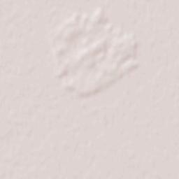 Comuna Zărand Terrain Map