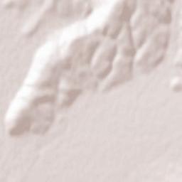 Comuna Racu Terrain Map