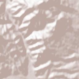 Apa Asău Terrain Map