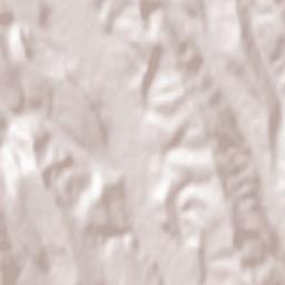 Comuna Puieşti Terrain Map