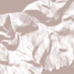 Nova Levante Terrain Map