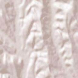 Stănişeşti Terrain Map