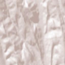 Răchitoasa Terrain Map