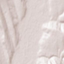 Comuna Viişoara Terrain Map