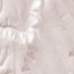 Roşieşti Terrain Map