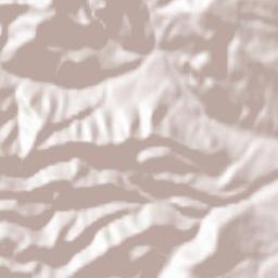 Livezile Terrain Map