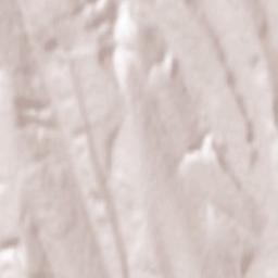 Comuna Băcani Terrain Map