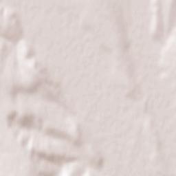 Basarabeasca Terrain Map