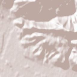 Preddvor Terrain Map