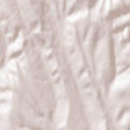 Corbasca Terrain Map