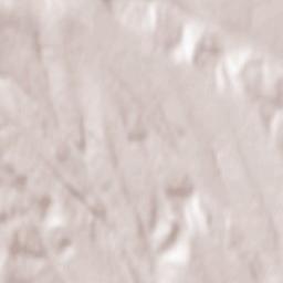 Şuletea Terrain Map