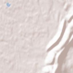 Jasseron Terrain Map